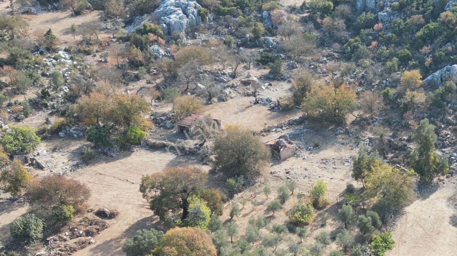 Joker: Marmaris Selimiye Tapuya Kayıtlı Köy Evi Ve Tarlası - Görsel 6