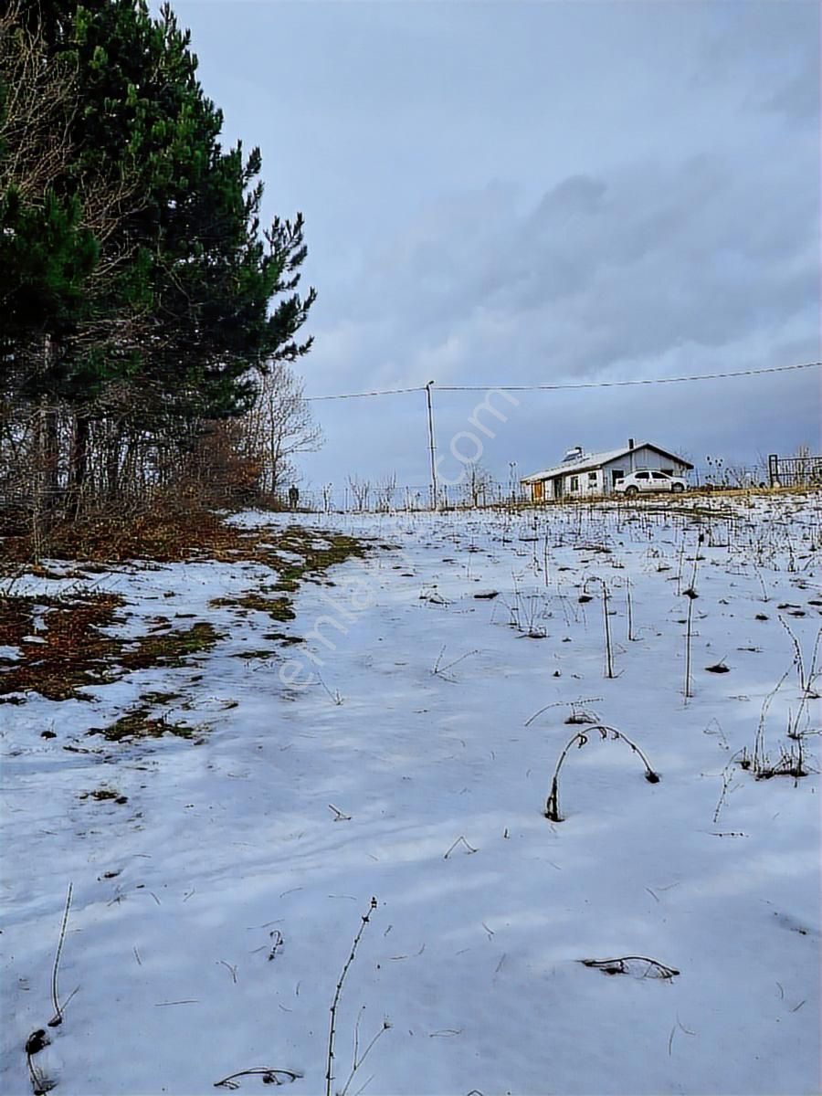 Kestel Orhaniye Cemiyet Bölgesinde Satılık Güzel Konumda Tarla.. - Görsel 8
