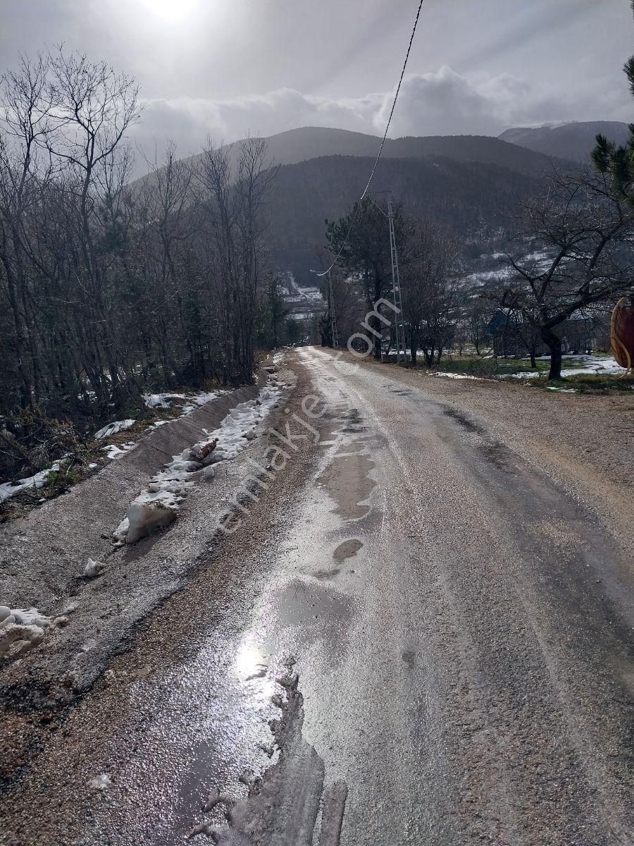 Kestel Orhaniye Cemiyet Bölgesinde Satılık Güzel Konumda Tarla.. - Görsel 9