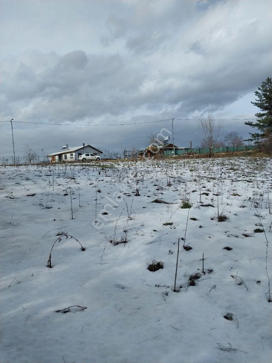 Kestel Orhaniye Cemiyet Bölgesinde Satılık Güzel Konumda Tarla.. - Görsel 7