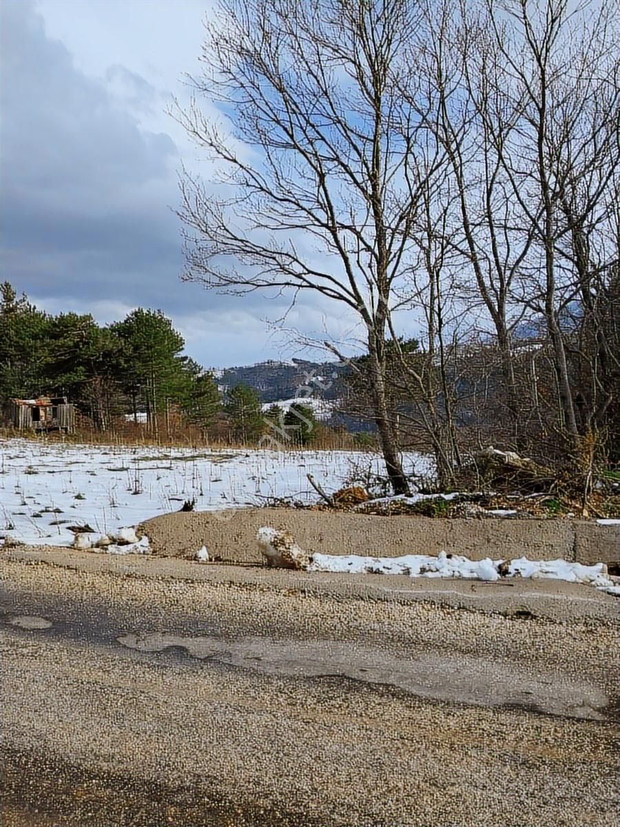 Kestel Orhaniye Cemiyet Bölgesinde Satılık Güzel Konumda Tarla.. - Görsel 3