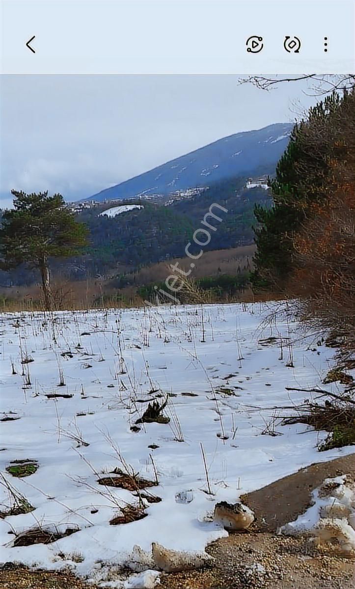 Kestel Orhaniye Cemiyet Bölgesinde Satılık Güzel Konumda Tarla..