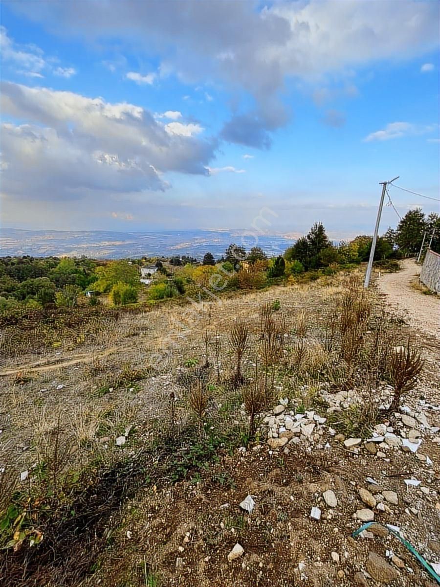 Çiftlik Mah Araba Takaslı 900 M2 Villalık Arsa İki Adet Yan Yana - Görsel 14