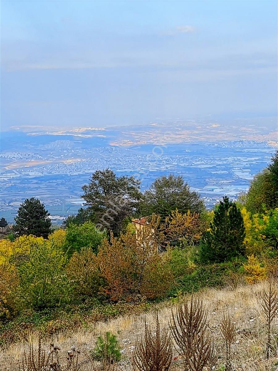 Çiftlik Mah Araba Takaslı 900 M2 Villalık Arsa İki Adet Yan Yana - Görsel 12