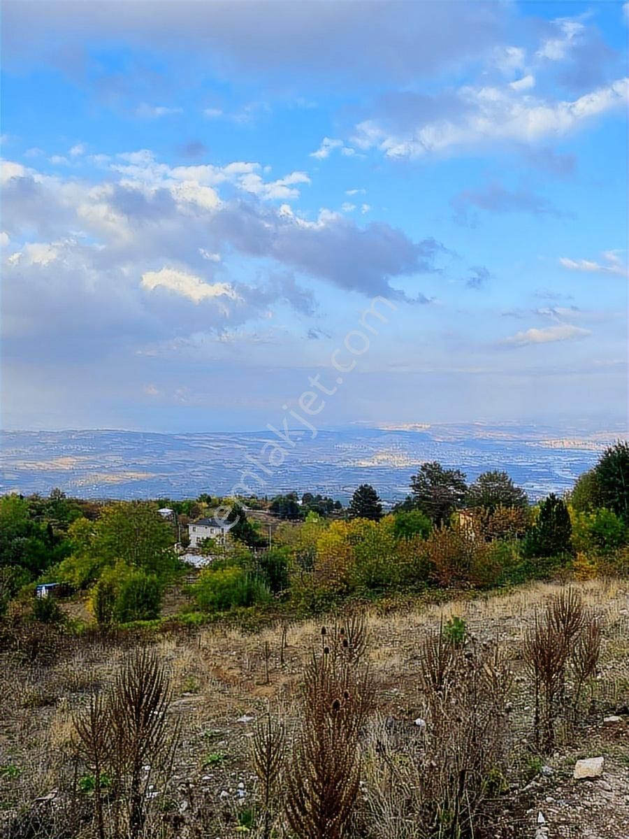 Çiftlik Mah Araba Takaslı 900 M2 Villalık Arsa İki Adet Yan Yana - Görsel 5