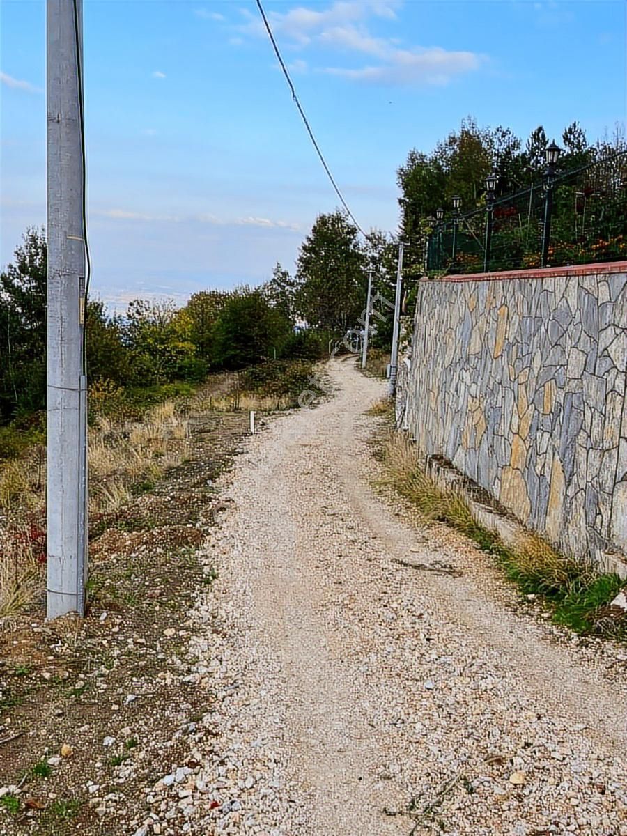 Çiftlik Mah Araba Takaslı 900 M2 Villalık Arsa İki Adet Yan Yana - Görsel 3