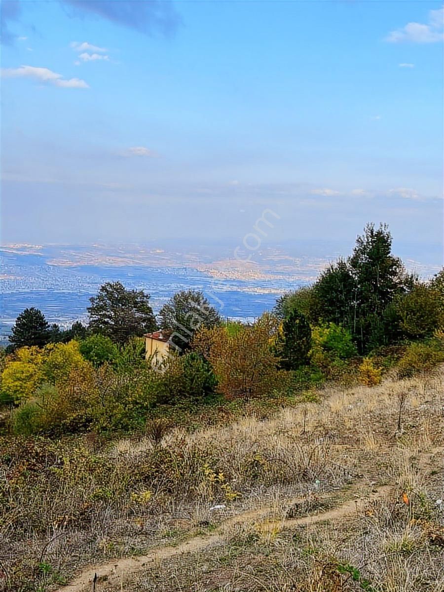 Çiftlik Mah Araba Takaslı 900 M2 Villalık Arsa İki Adet Yan Yana - Görsel 6