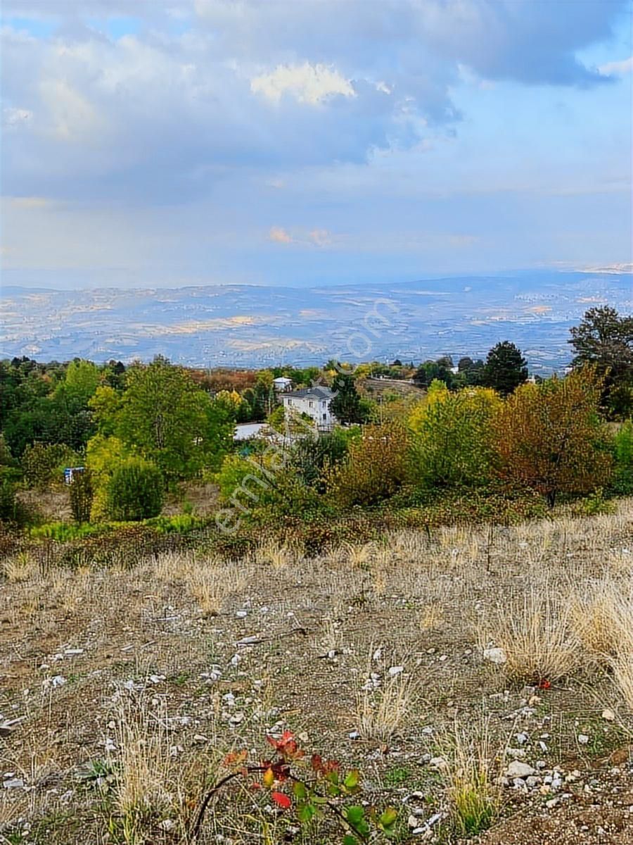 Çiftlik Mah Araba Takaslı 900 M2 Villalık Arsa İki Adet Yan Yana - Görsel 7