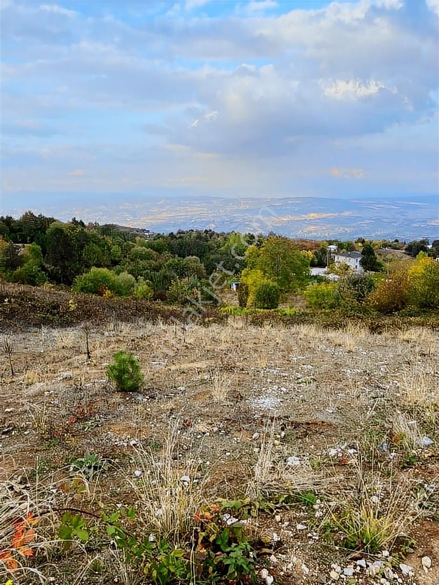 Çiftlik Mah Araba Takaslı 900 M2 Villalık Arsa İki Adet Yan Yana - Görsel 9