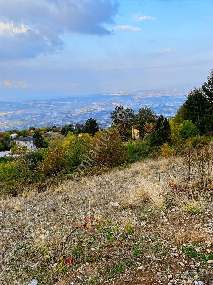 Çiftlik Mah Araba Takaslı 900 M2 Villalık Arsa İki Adet Yan Yana - Görsel 8