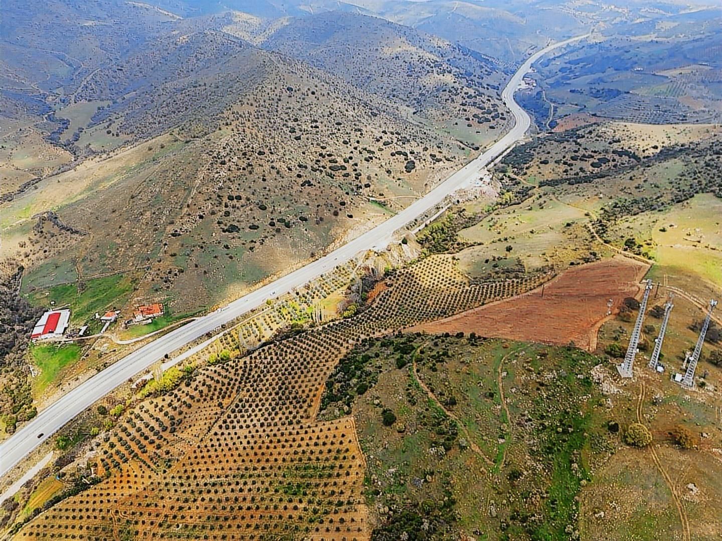 Salihli'de Satılık 93517 M2 Zeytinlik Ve Tarla (video) - Görsel 3