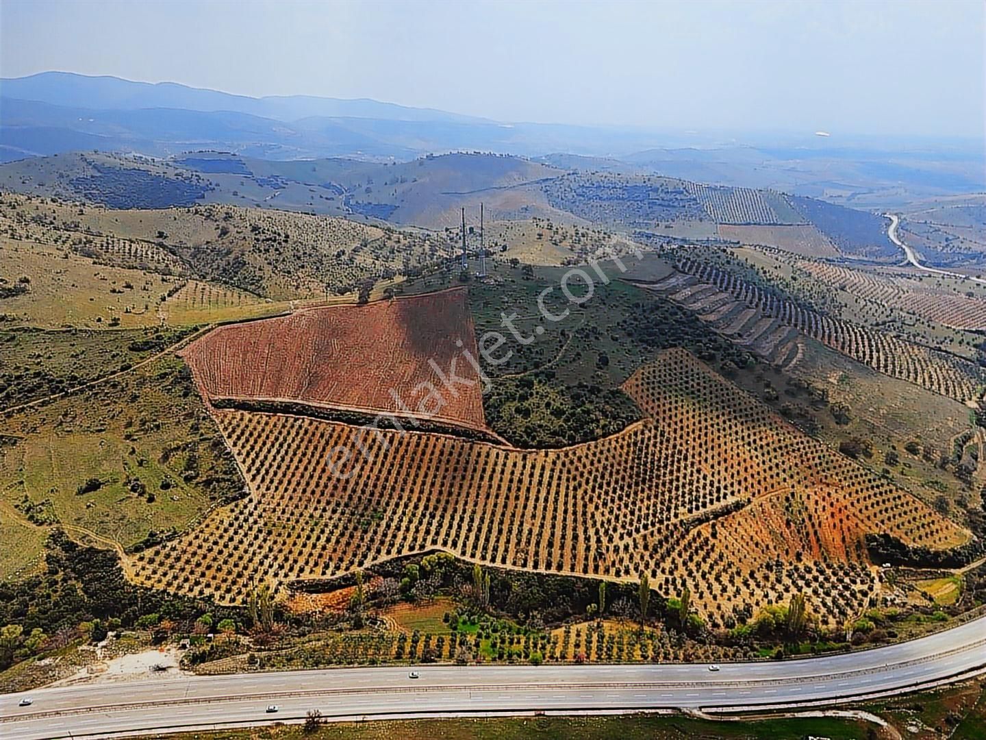 Salihli'de Satılık 93517 M2 Zeytinlik Ve Tarla (video) - Görsel 12