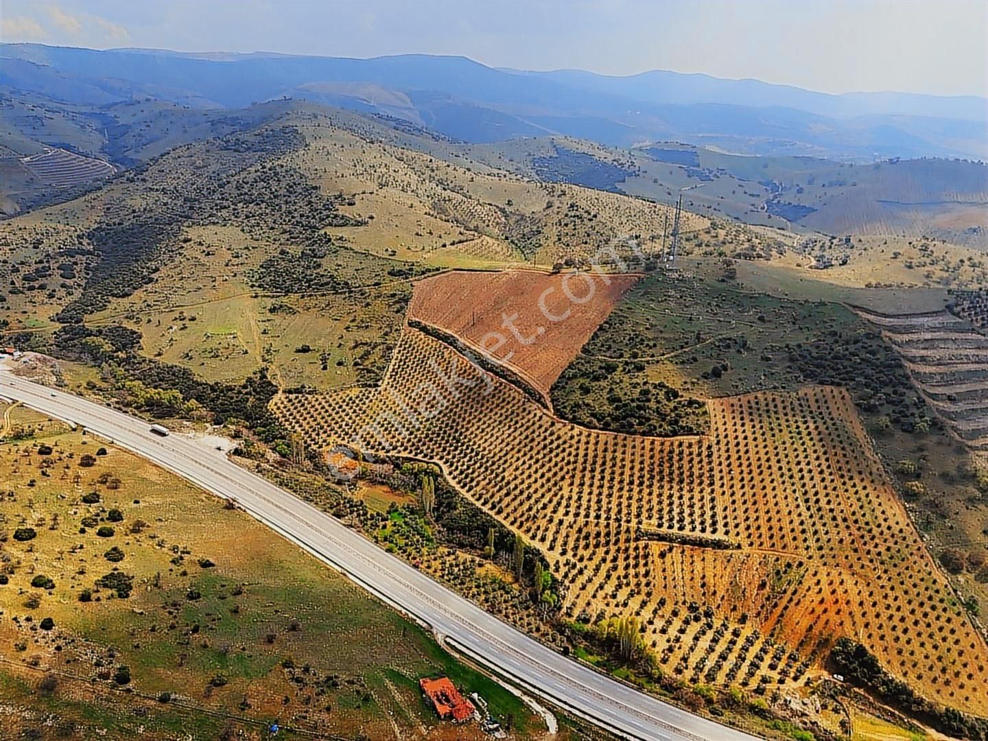 Salihli'de Satılık 93517 M2 Zeytinlik Ve Tarla (video) - Görsel 11