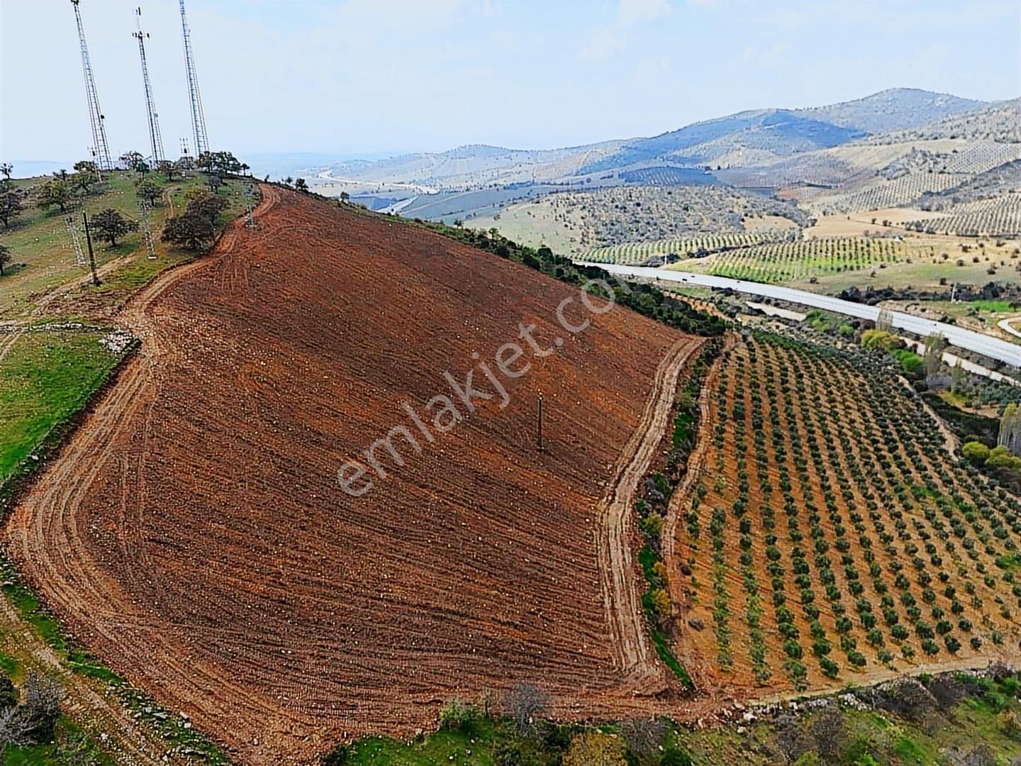 Salihli'de Satılık 93517 M2 Zeytinlik Ve Tarla (video) - Görsel 14