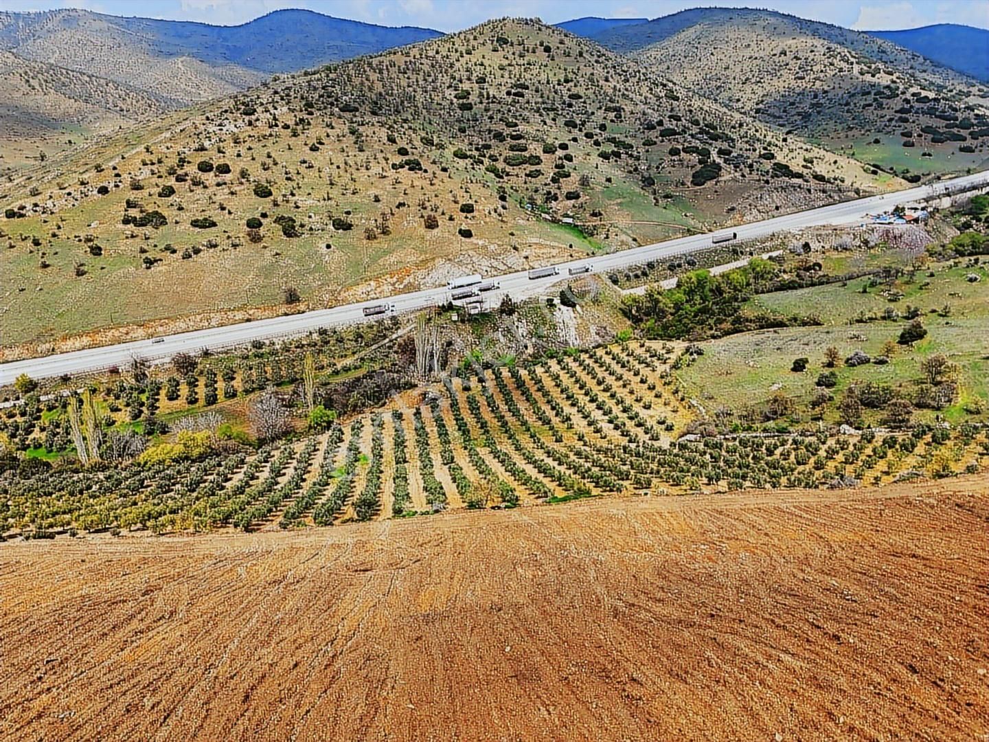 Salihli'de Satılık 93517 M2 Zeytinlik Ve Tarla (video) - Görsel 16