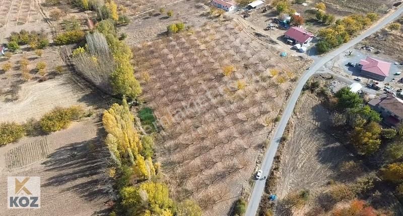 Koz Emlak'tan Altunlu'da Satılık Bakımlı Bahçe - Görsel 2