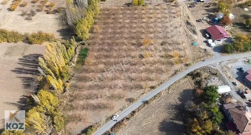 Koz Emlak'tan Altunlu'da Satılık Bakımlı Bahçe - Görsel 3