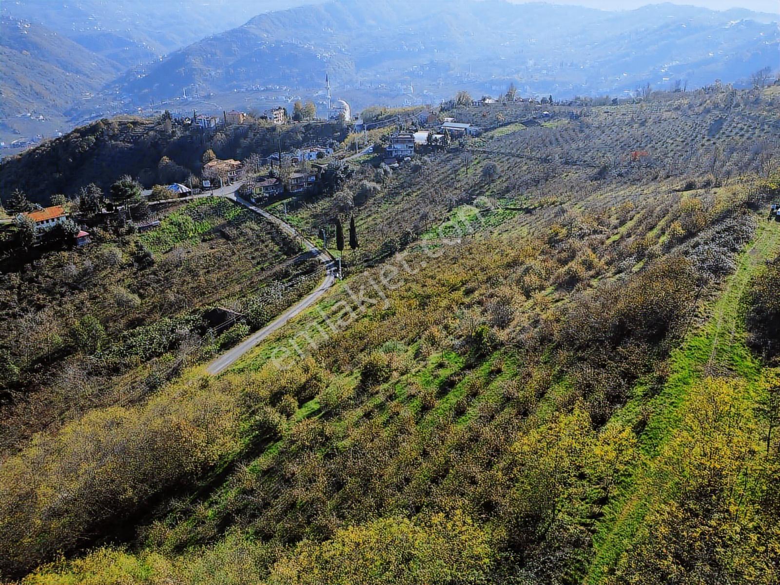 Trabzon Akyazıda Fırsat Arsa - Görsel 6