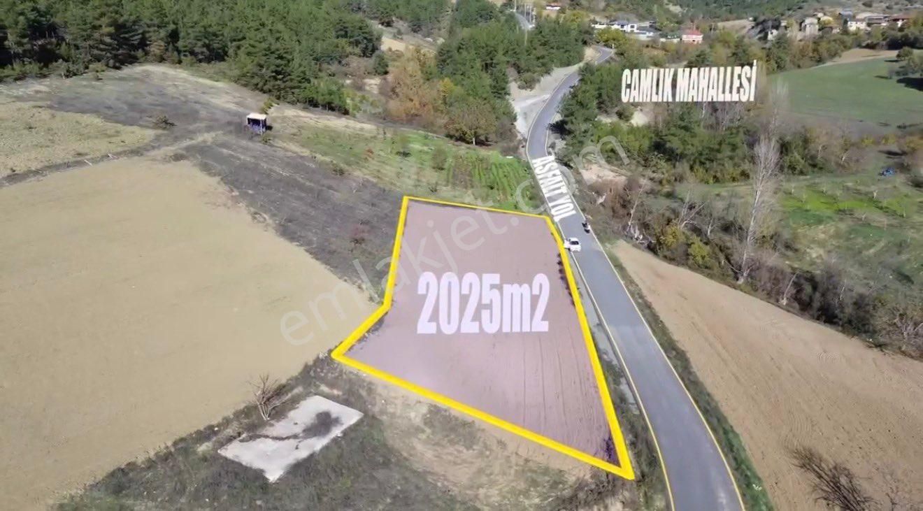🏡 Sakarya / Geyve Çamlık’ta Asfalt Yola 83 Metre Cepheli 2.052 M² Tarla!
