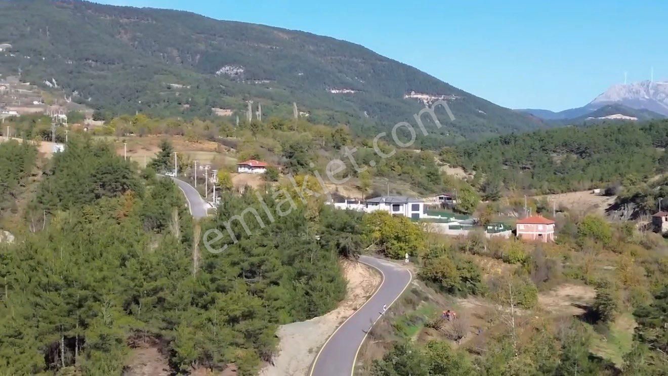 🏡 Sakarya / Geyve Çamlık’ta Asfalt Yola 83 Metre Cepheli 2.052 M² Tarla! - Görsel 4