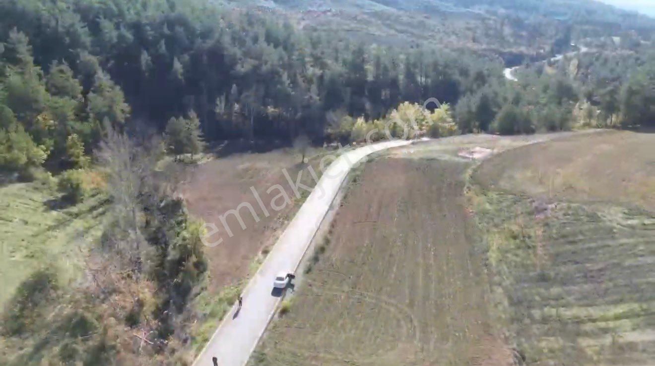 🏡 Sakarya / Geyve Çamlık’ta Asfalt Yola 83 Metre Cepheli 2.052 M² Tarla! - Görsel 5