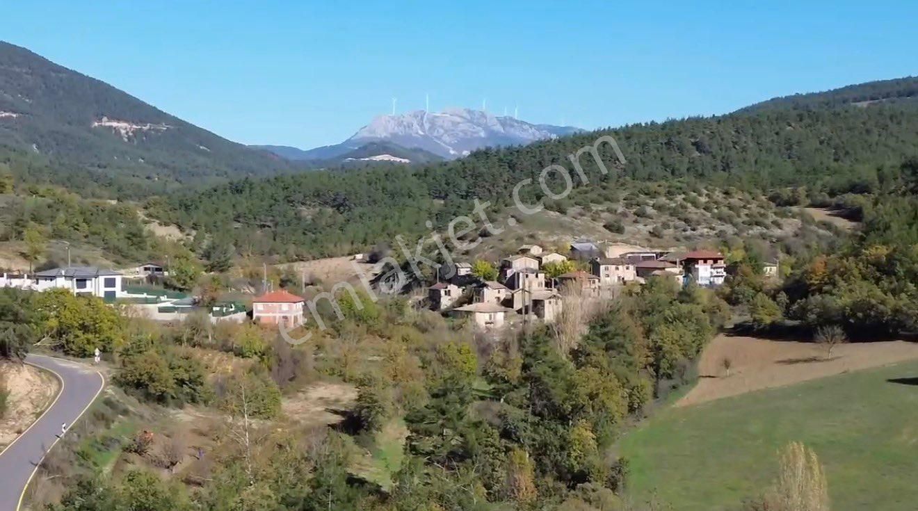 🏡 Sakarya / Geyve Çamlık’ta Asfalt Yola 83 Metre Cepheli 2.052 M² Tarla! - Görsel 3