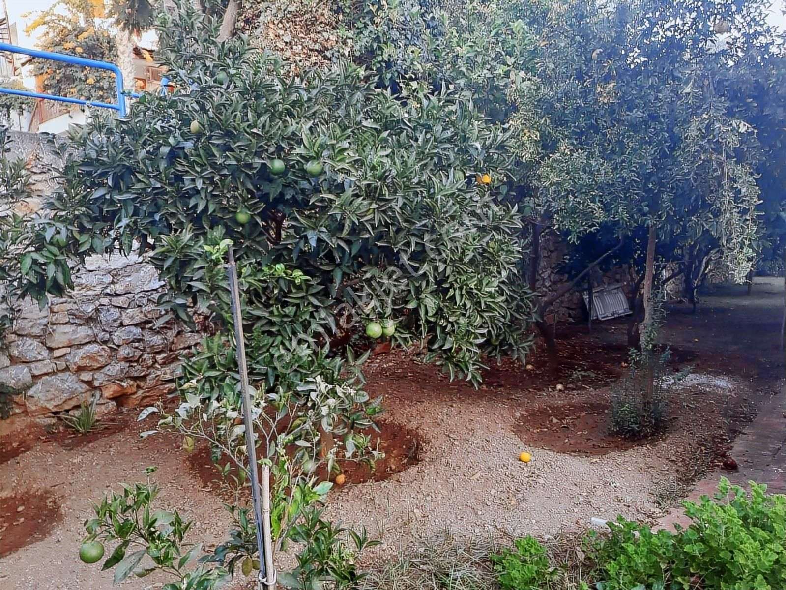 Alanya Demırtaş Mah Denize 700 Metre Müstakil Villa - Görsel 27