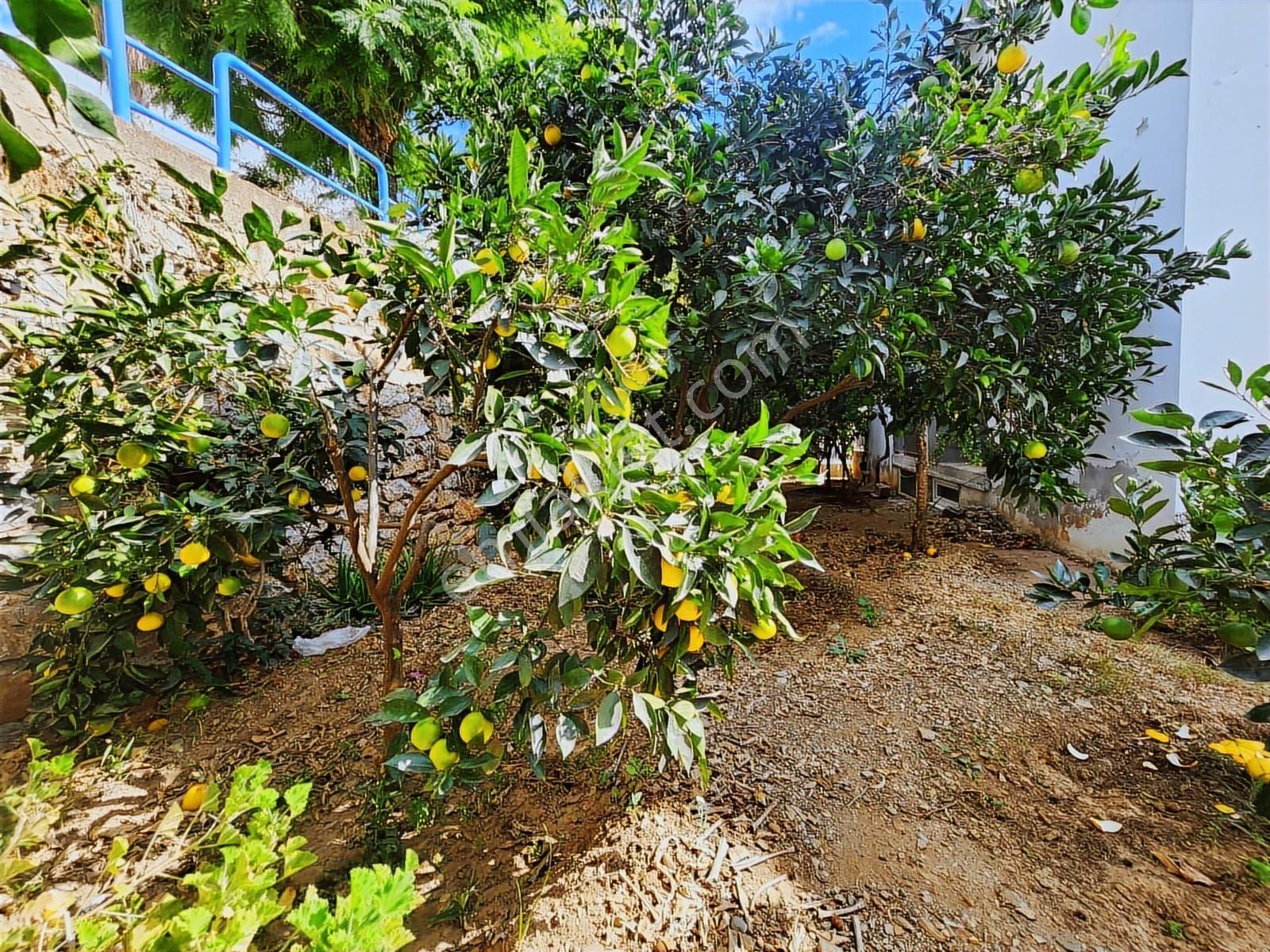 Alanya Demırtaş Mah Denize 700 Metre Müstakil Villa - Görsel 17