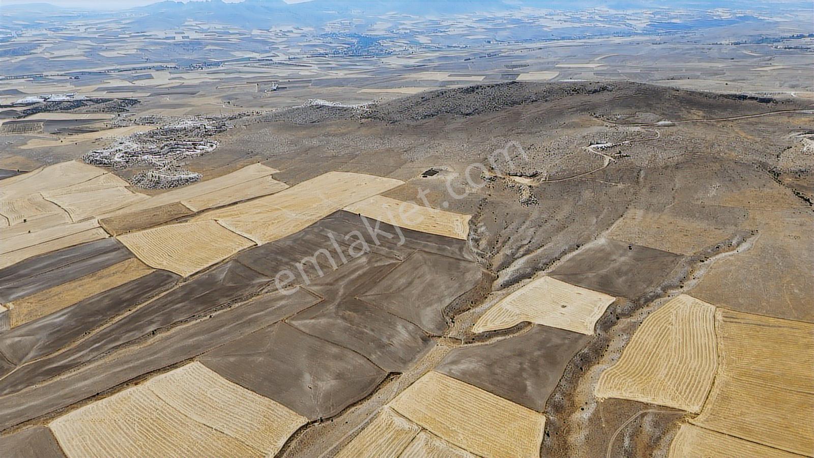 Eskişehir Sivrihisar Babadatta 15.360 M² Yatırımlık Arazi - Görsel 5