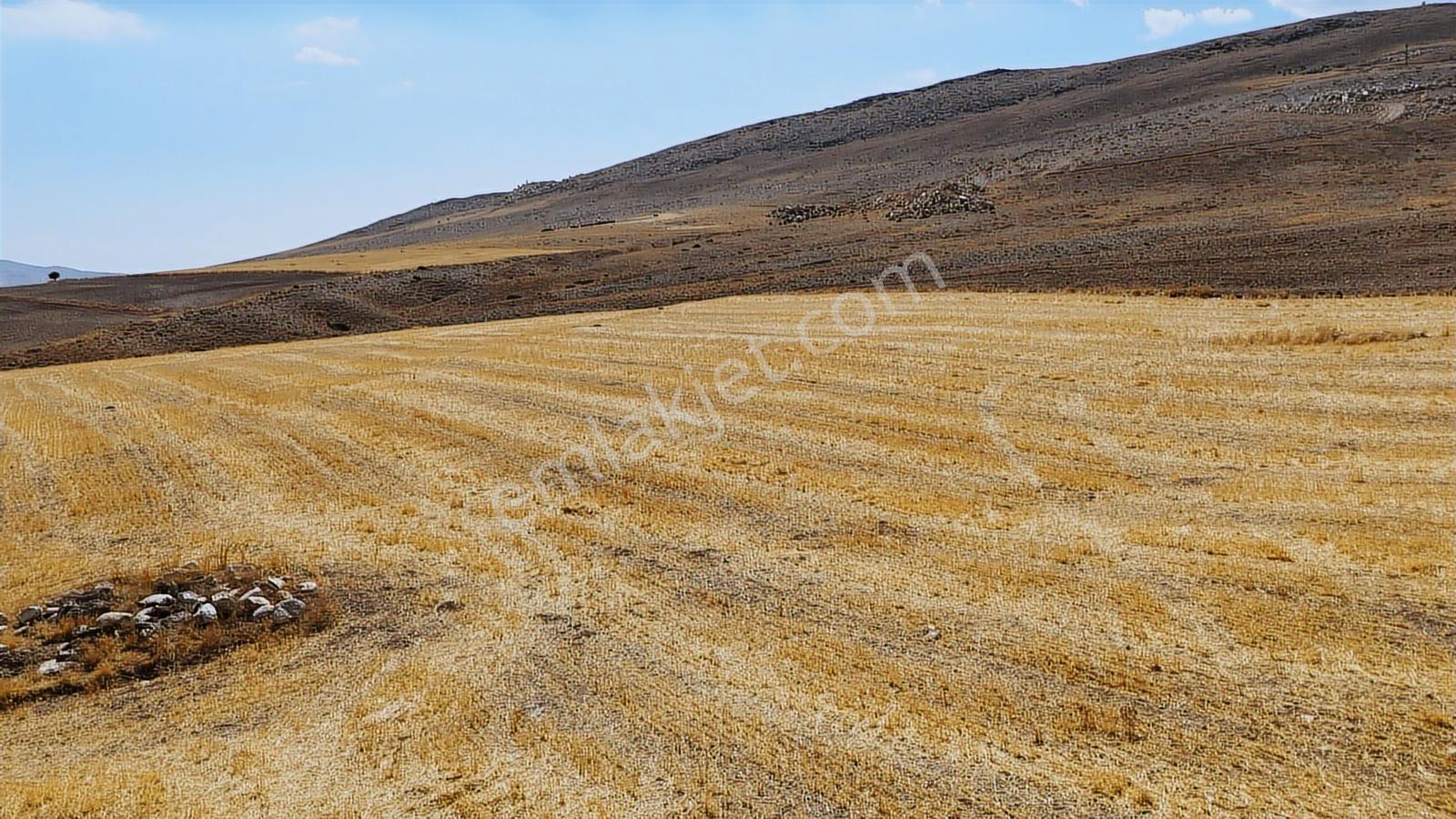 Eskişehir Sivrihisar Babadatta 15.360 M² Yatırımlık Arazi