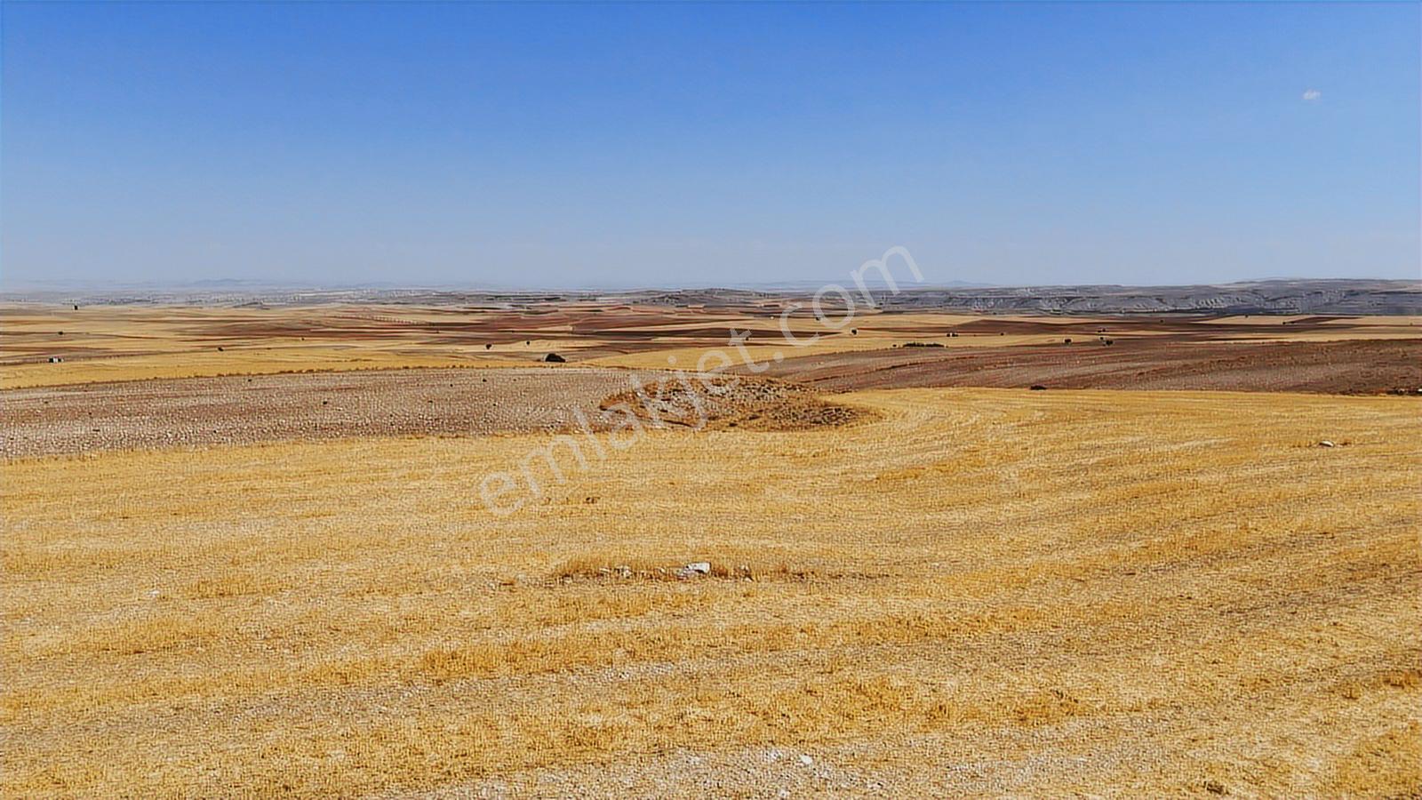 Eskişehir Sivrihisar Babadatta 15.360 M² Yatırımlık Arazi - Görsel 3