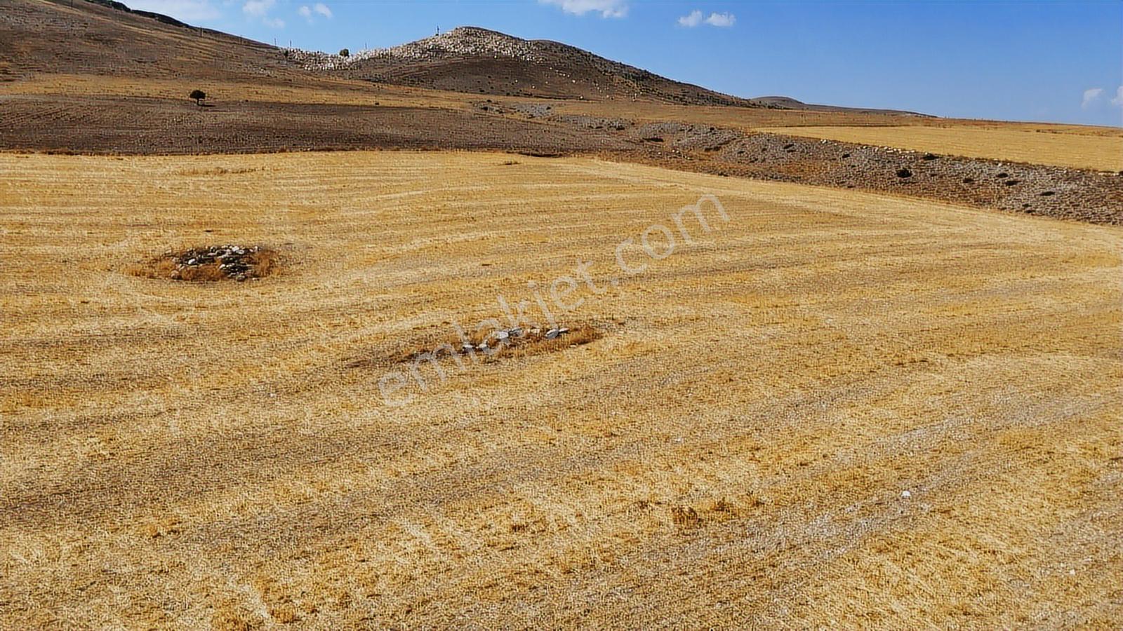 Eskişehir Sivrihisar Babadatta 15.360 M² Yatırımlık Arazi - Görsel 2