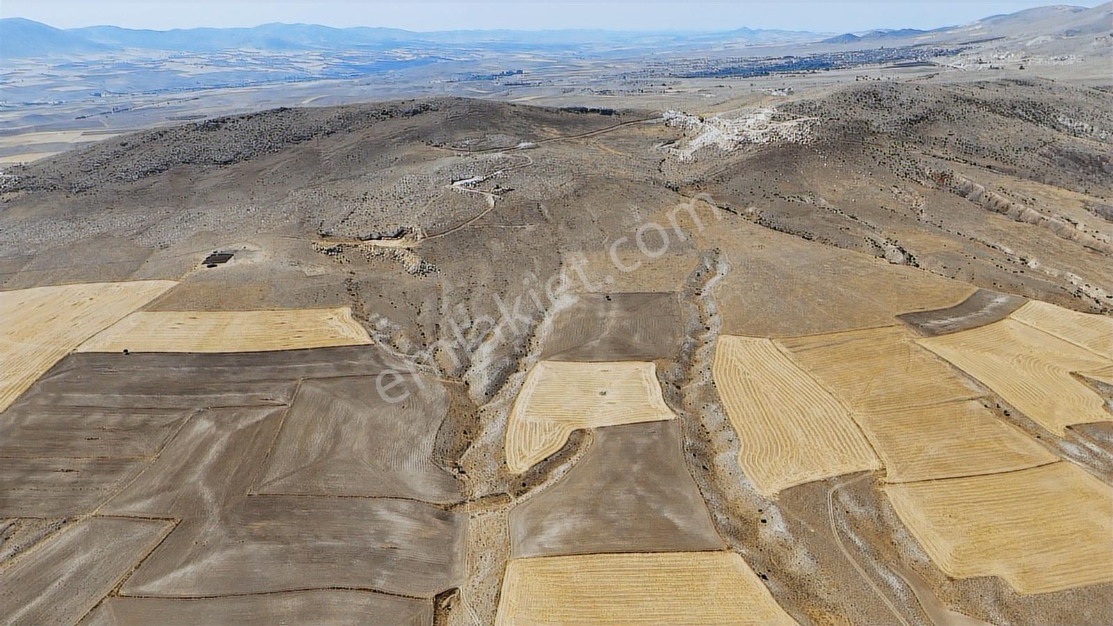 Eskişehir Sivrihisar Babadatta 15.360 M² Yatırımlık Arazi - Görsel 11