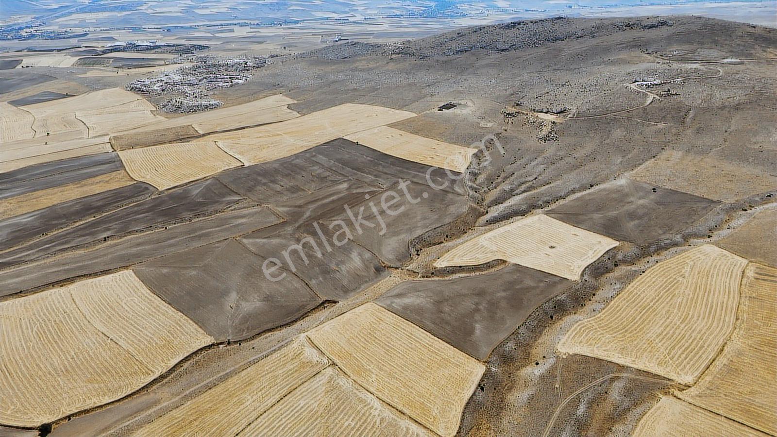 Eskişehir Sivrihisar Babadatta 15.360 M² Yatırımlık Arazi - Görsel 12