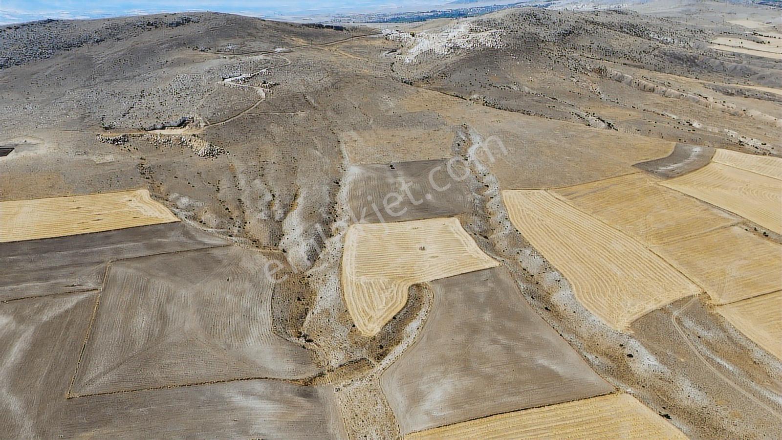 Eskişehir Sivrihisar Babadatta 15.360 M² Yatırımlık Arazi - Görsel 4
