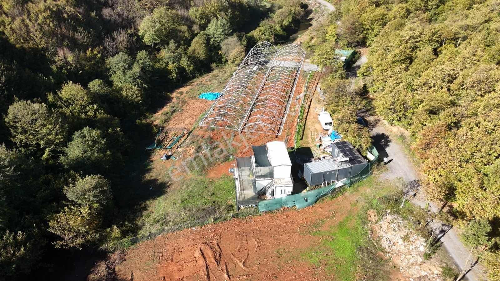 İstanbul/şile/kömürlük'te, Yola Cephe, 3.600 M² Satılık Arazi - Görsel 6