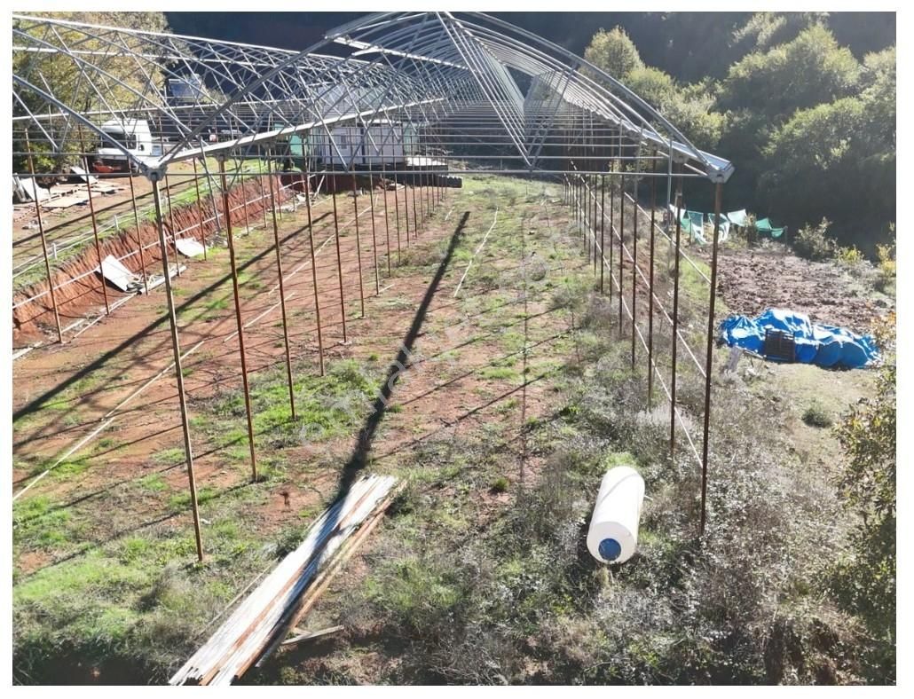 İstanbul/şile/kömürlük'te, Yola Cephe, 3.600 M² Satılık Arazi - Görsel 3