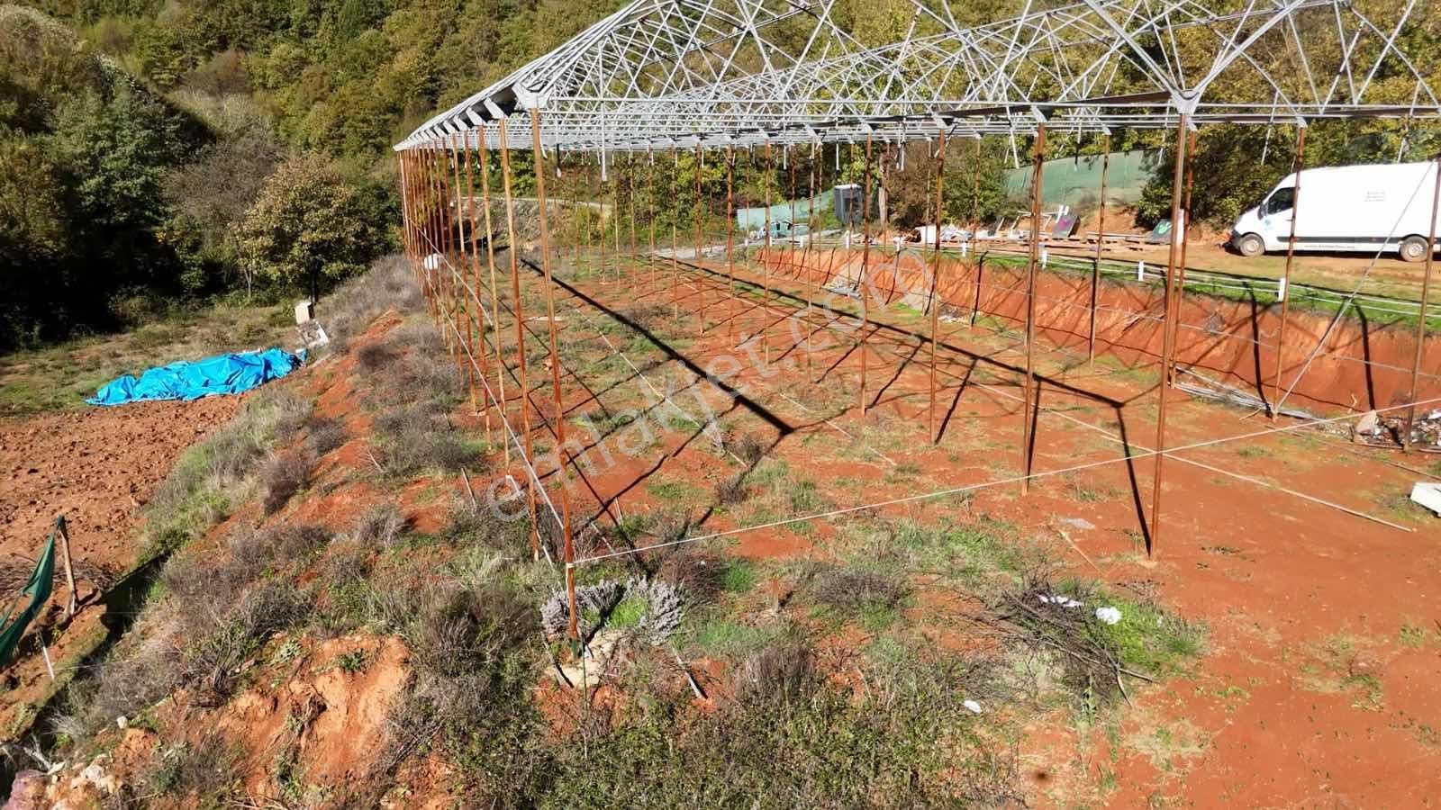 İstanbul/şile/kömürlük'te, Yola Cephe, 3.600 M² Satılık Arazi - Görsel 8