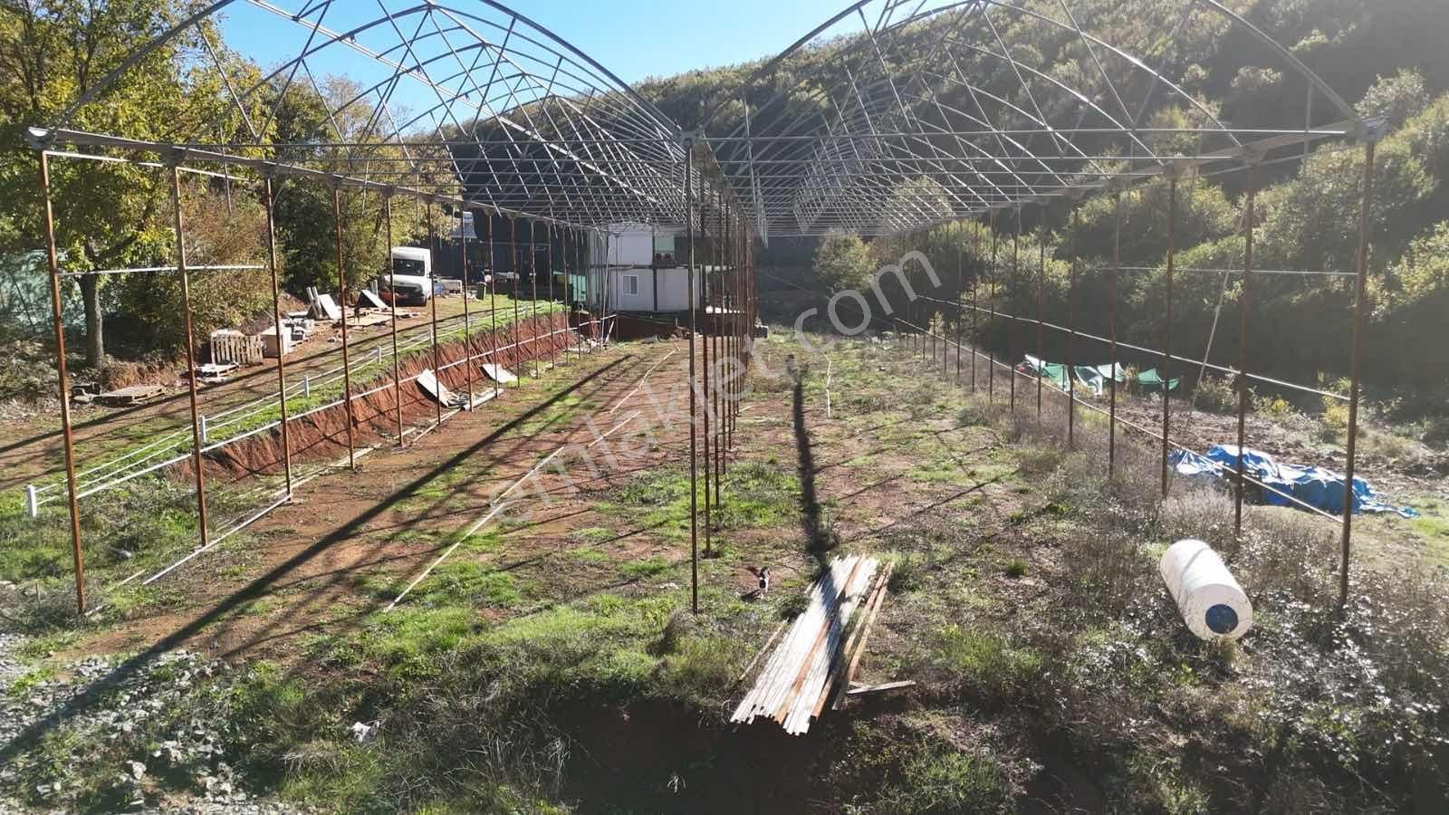 İstanbul/şile/kömürlük'te, Yola Cephe, 3.600 M² Satılık Arazi - Görsel 33