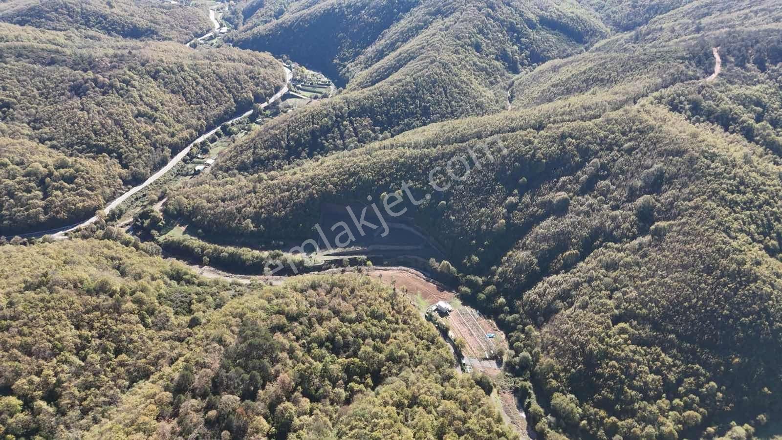 İstanbul/şile/kömürlük'te, Yola Cephe, 3.600 M² Satılık Arazi - Görsel 21
