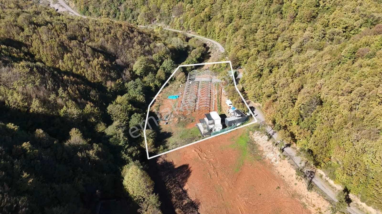 İstanbul/şile/kömürlük'te, Yola Cephe, 3.600 M² Satılık Arazi - Görsel 29