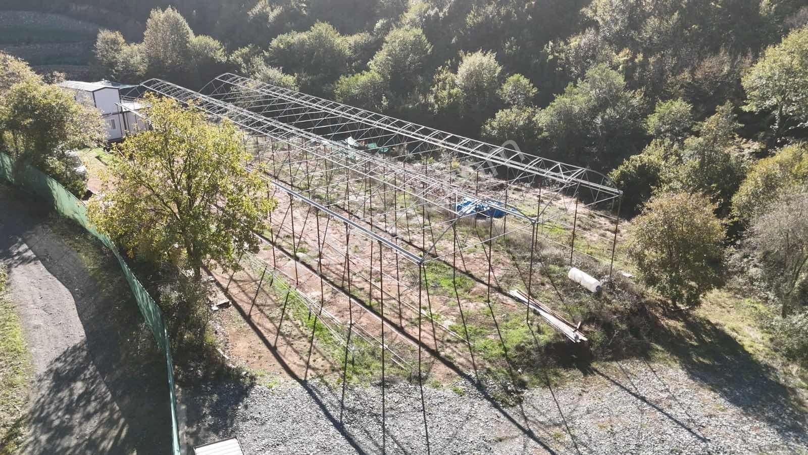 İstanbul/şile/kömürlük'te, Yola Cephe, 3.600 M² Satılık Arazi - Görsel 32