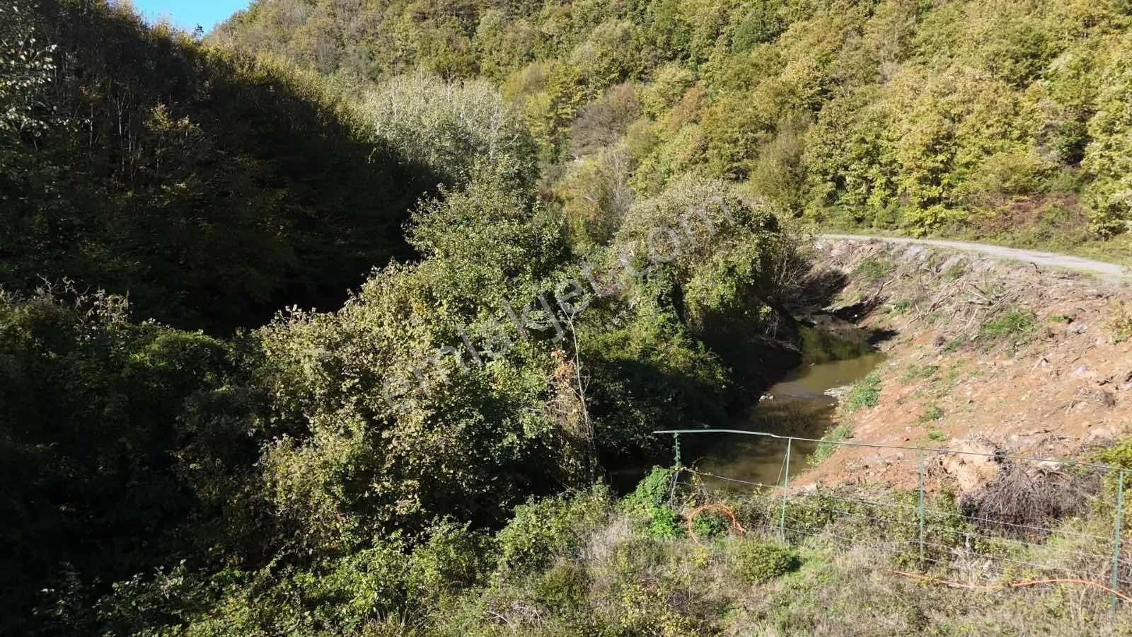 İstanbul/şile/kömürlük'te, Yola Cephe, 3.600 M² Satılık Arazi - Görsel 2