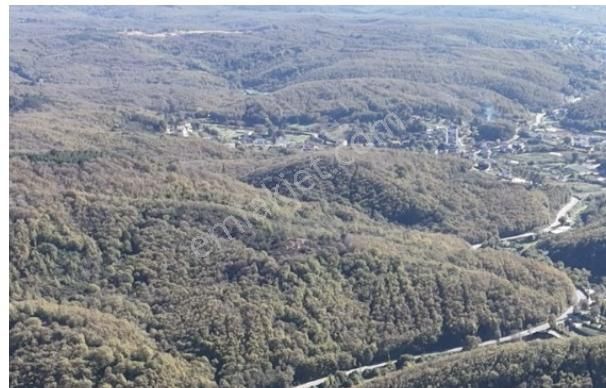 İstanbul/şile/kömürlük'te, Yola Cephe, 3.600 M² Satılık Arazi - Görsel 25