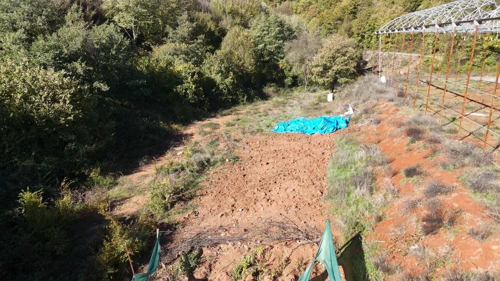 İstanbul/şile/kömürlük'te, Yola Cephe, 3.600 M² Satılık Arazi - Görsel 17