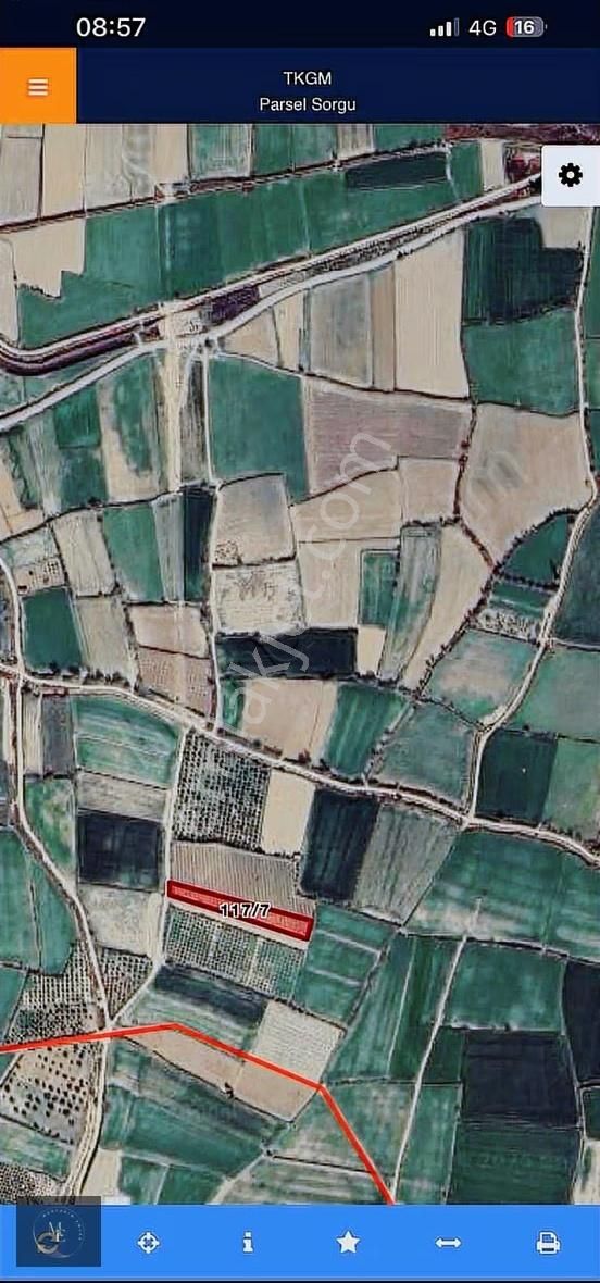 Hasköyde 3.300 M² Üzüm Bağı Muhtarım Emlak - Görsel 7