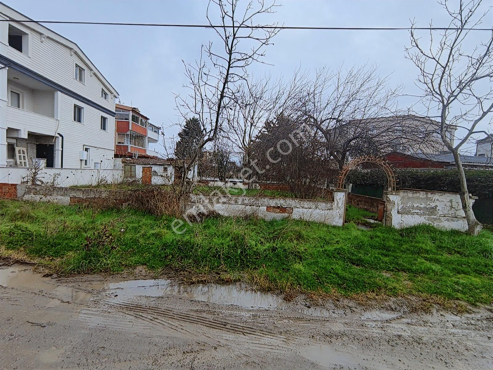 Mükkemmel Konumda Kuyu Ve Kulübeli Olan 2adet Yanyana Arsa 300m2 - Görsel 5