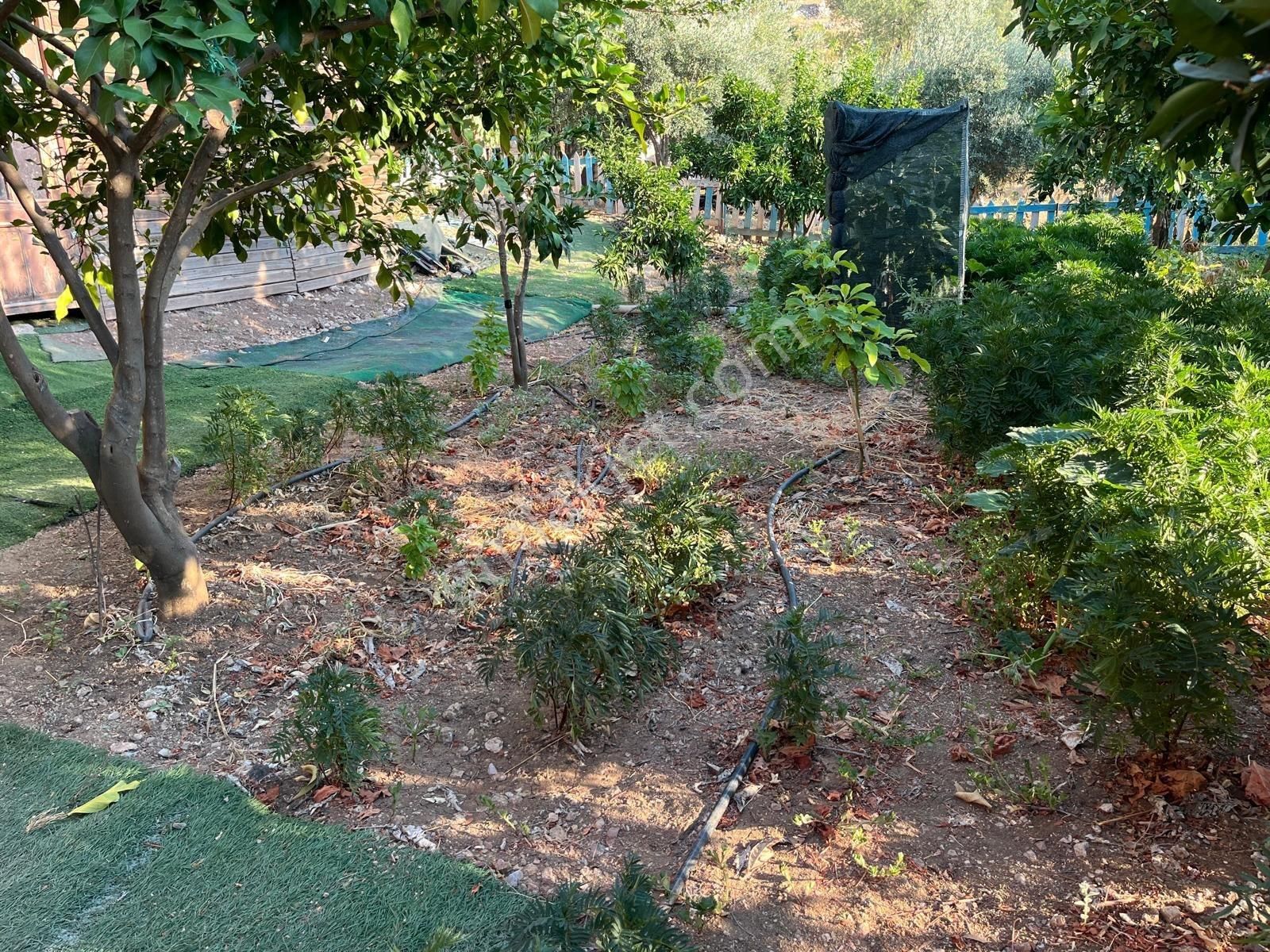 Serık Gebız Hasdumende Mustakıl Ev - Görsel 23