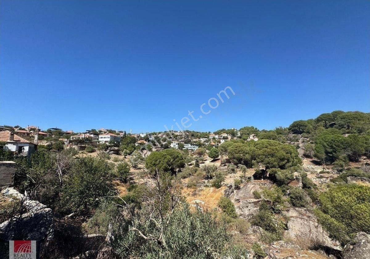 Milas Çomakdağı’nda Eşsiz Fırsat! Tarihi Köy Evi + Ruhsatlı Hayvan Besi Çiftliği - Görsel 30