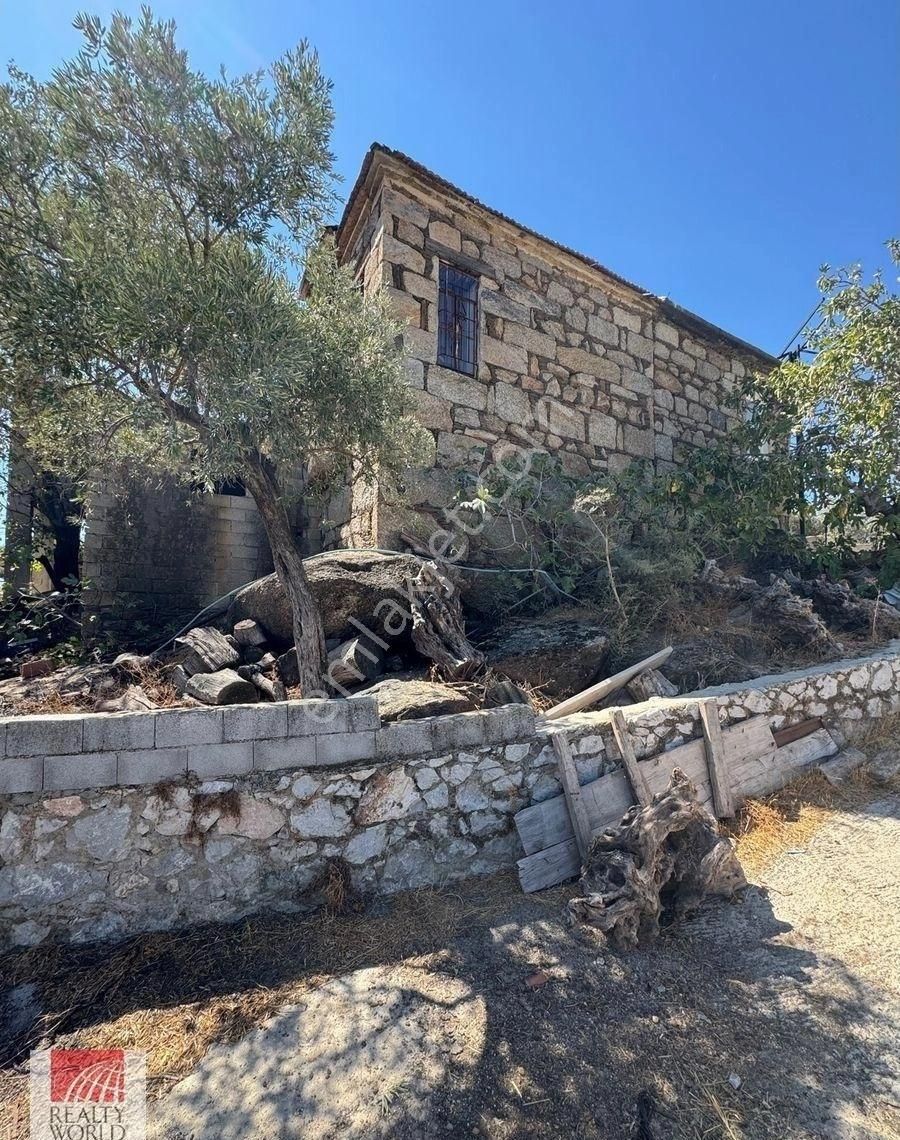 Milas Çomakdağı’nda Eşsiz Fırsat! Tarihi Köy Evi + Ruhsatlı Hayvan Besi Çiftliği - Görsel 27
